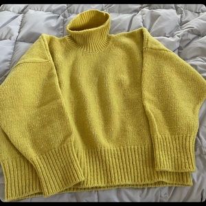 Babaa No 17 in Acacia